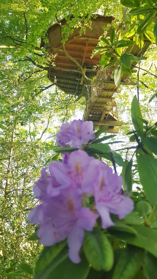 Le Domaine De Wail - Legends Resort חדר תמונה